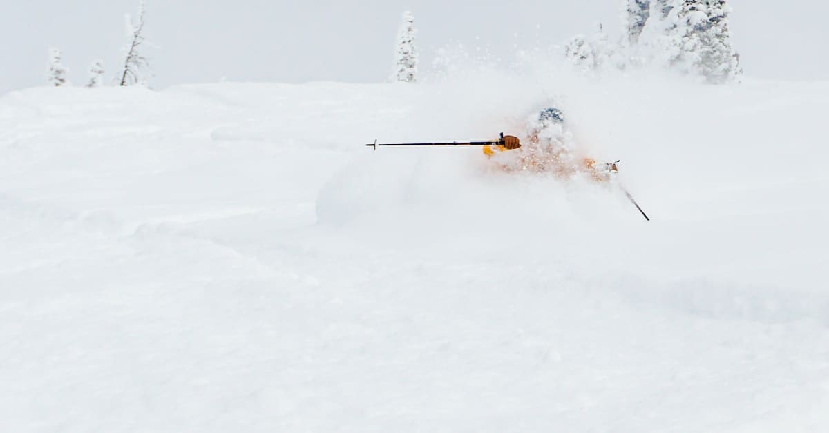 Best Powder Skis of 2024 Powder