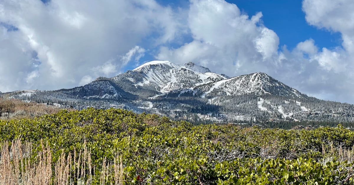 Mammoth Mountain Gets Ready for Opening Day! Powder Mammoth Living