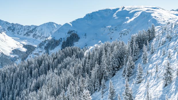 Panty tree in the Canadian Rockies where bras, panties, and Mardi Gras  beads cast off by skiers riding the chair lift decorate its branches, a  traditi Stock Photo - Alamy