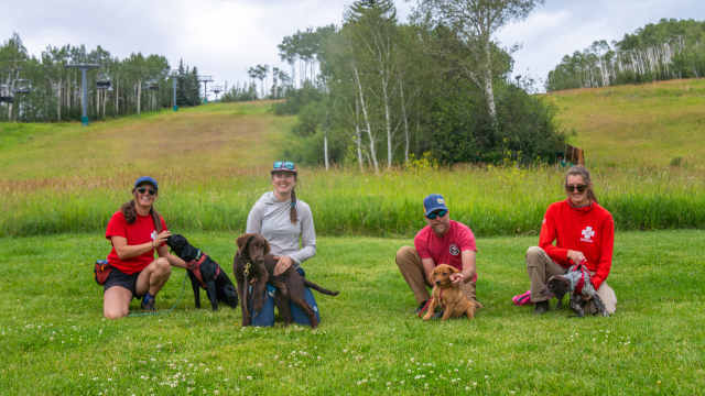 Beaver Creek pups