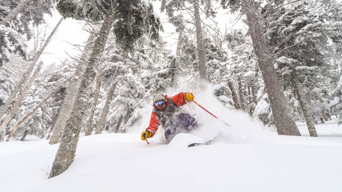 Fans of the New England Patriots NFL football team ski en masse at the  Sugarloaf ski resort, Sunday, Feb. 3, 2019, in Carrabassett Valley, Maine.  About 200 skiers took part to show