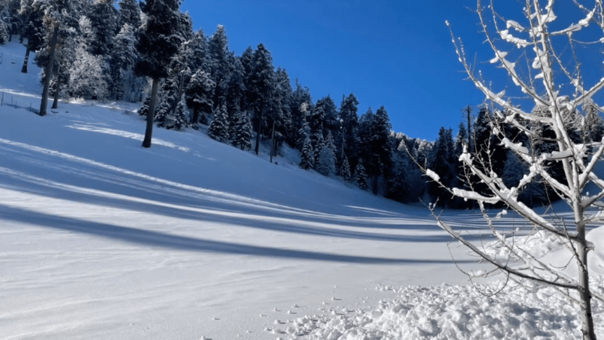 Nation's Southernmost Ski Resort Reporting Fresh Snowfall