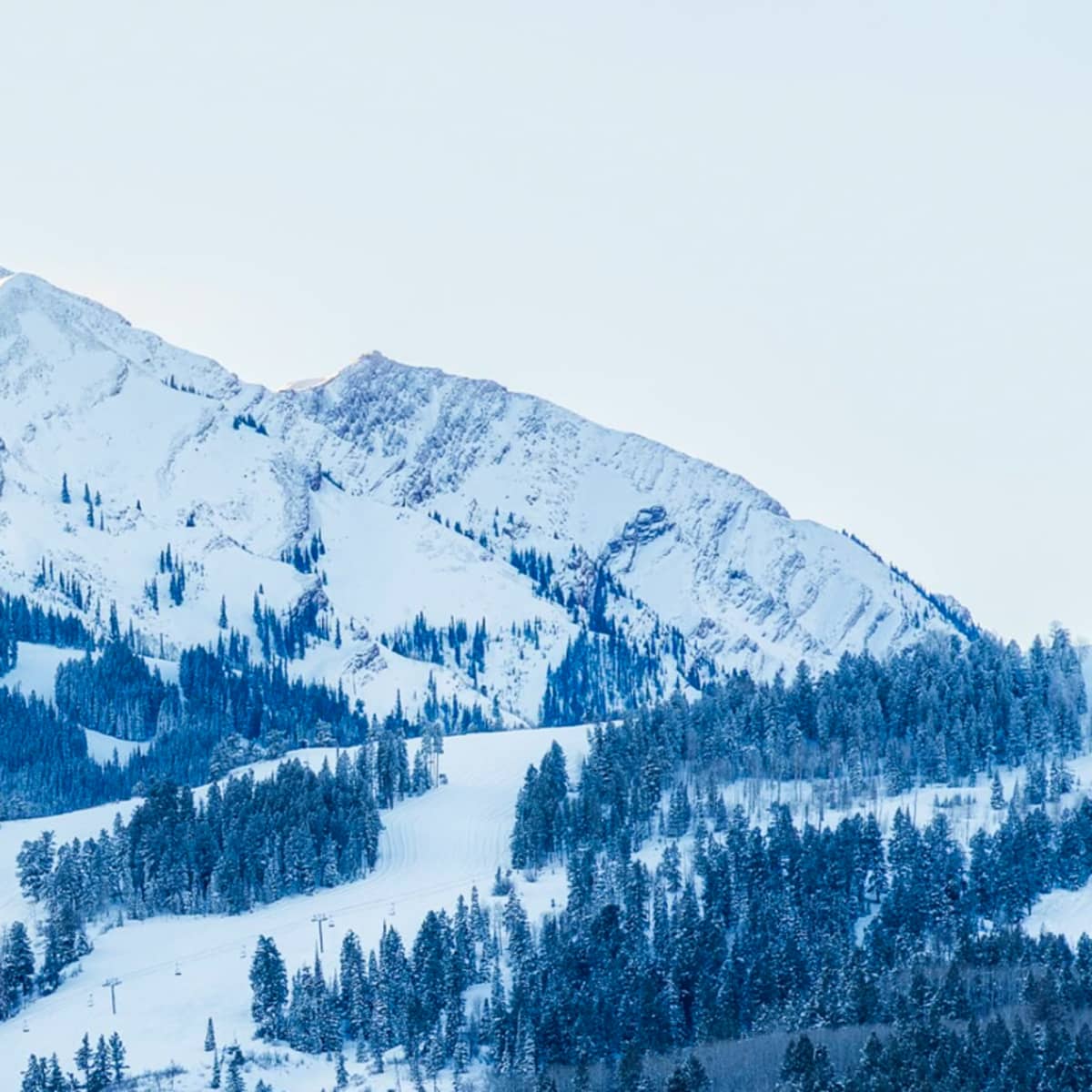 Aspen Snowmass received 11 inches of fresh snow in the past 24 hours, and  could receive almost a foot more by the end of the week. - Powder