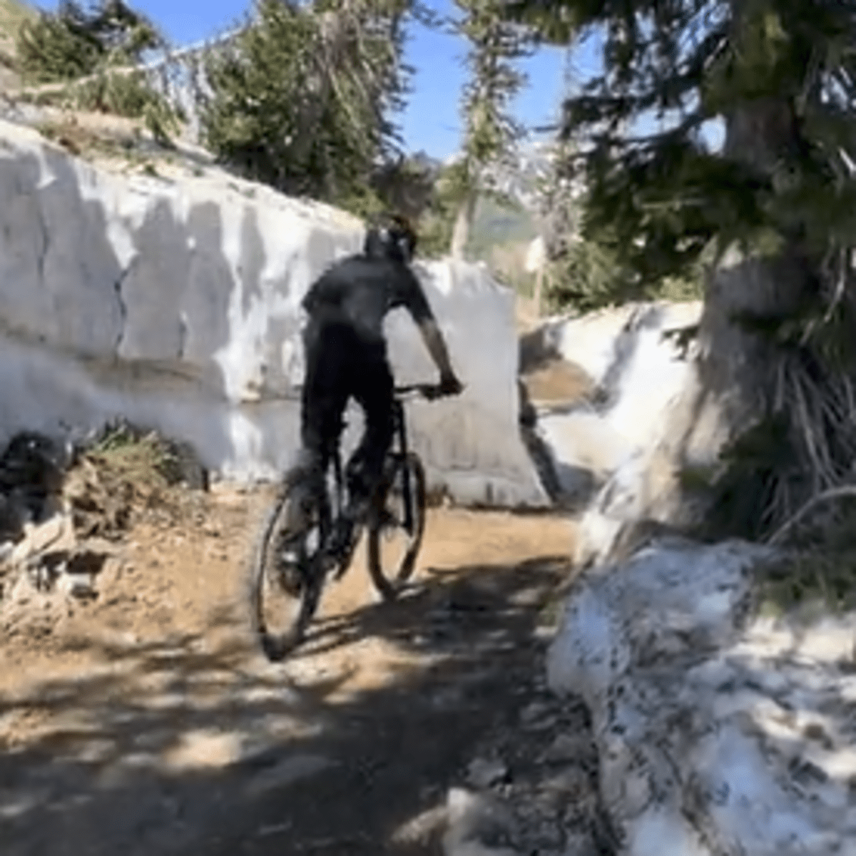 Mountain biking deer online valley