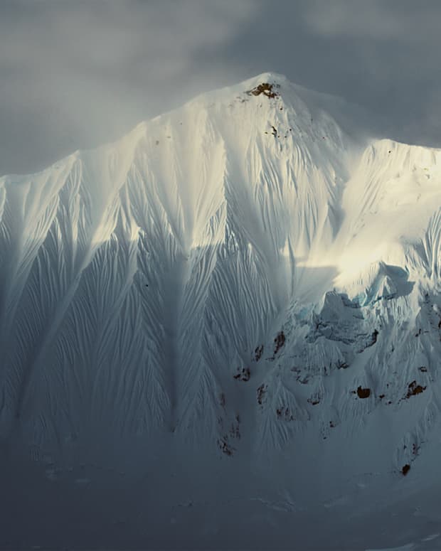 Treeline: The Film - Patagonia Stories