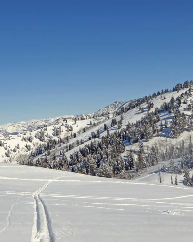 56,800 Acres of Off-Piste Skiing