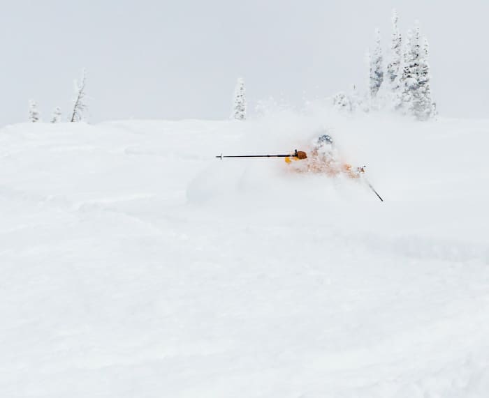 Best Powder Skis of 2024 Powder