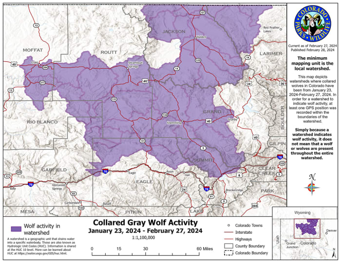 Where Are Colorado's Wolves? New Map Offers Insight - Powder Resort 