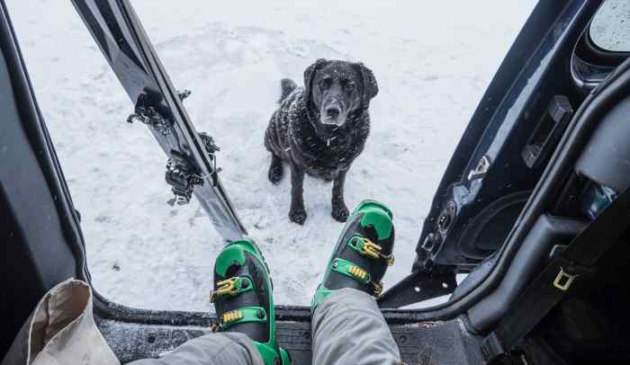 The 7 Best Dog-Friendly Ski Resorts in North America