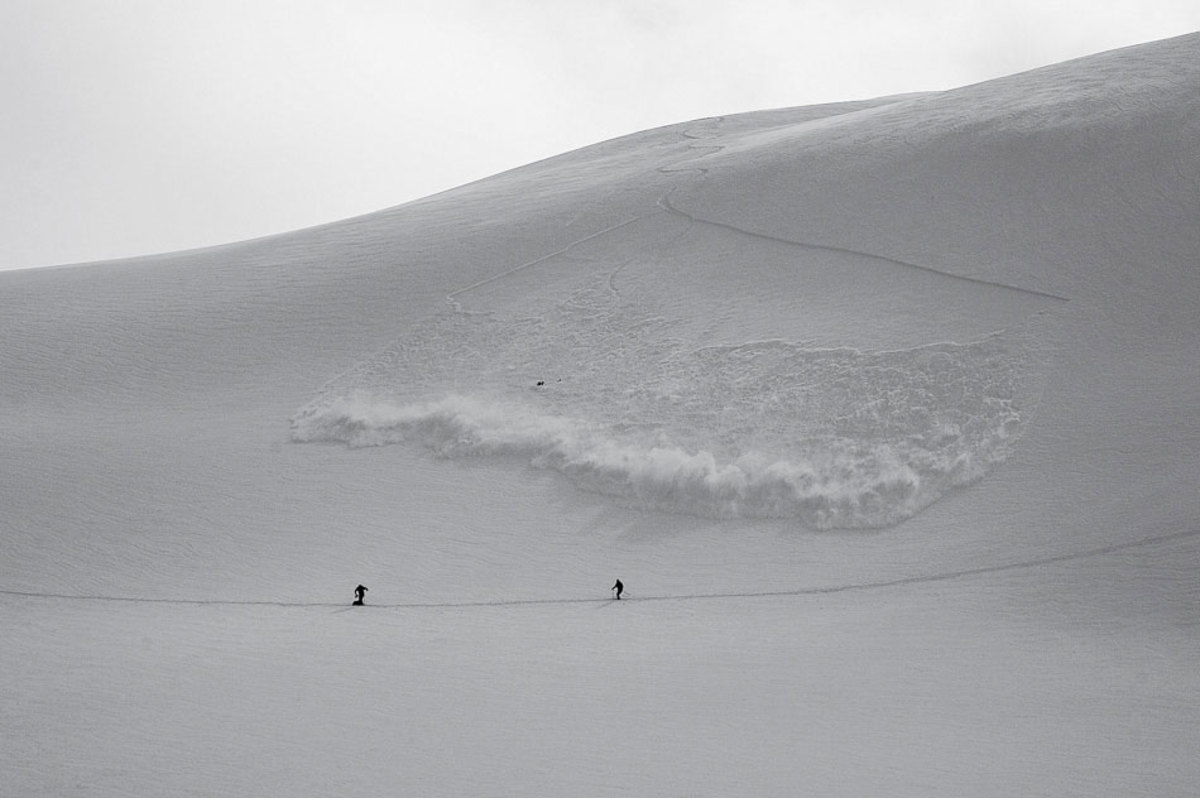 from-freedom-to-anarchy-powder