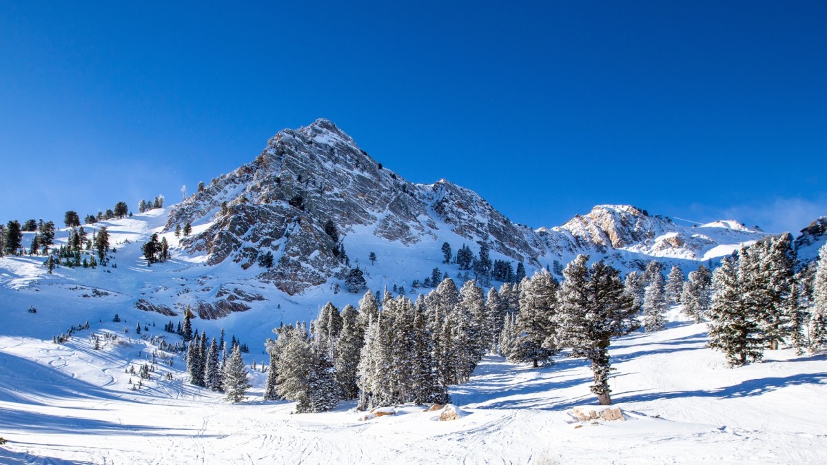 Meet The Ogden Skier Who Set The World Record For The Most Vertical 