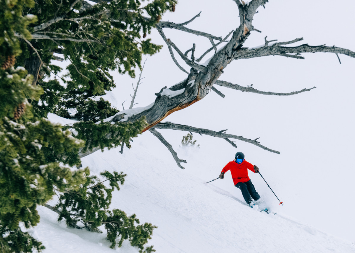 How To Ski Powder - New Generation Ski School