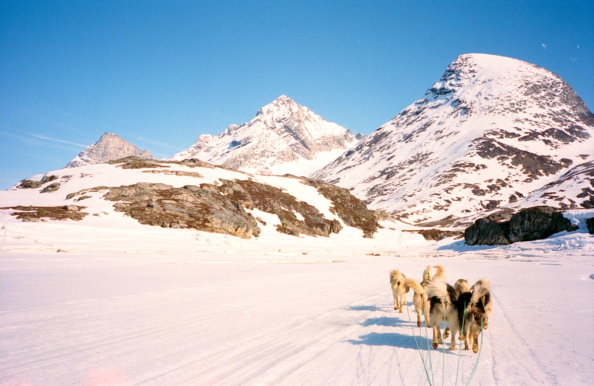 Dog sledding and ski touring Greenland