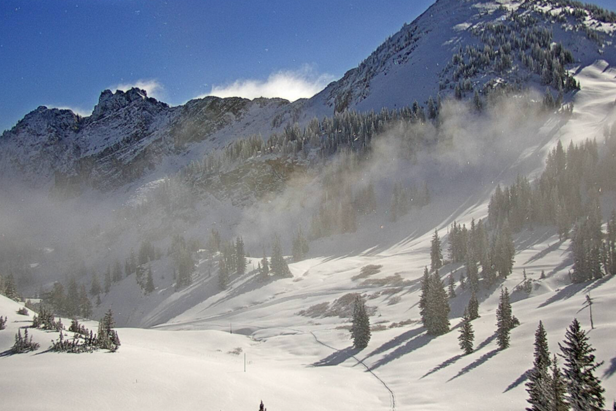 "Alta Magic" Fresh Snowfall At Utah Ski Resort Is A Sight To Behold